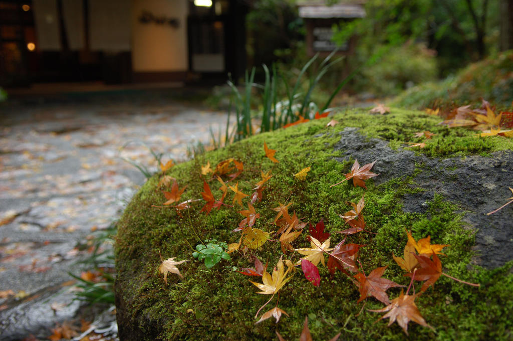 Yamamizuki Otel Minamioguni Dış mekan fotoğraf